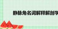 靜脈角名詞解釋解剖學(靜脈角)