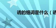 誘的組詞是什么(誘的組詞)