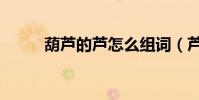 葫蘆的蘆怎么組詞(蘆怎么組詞)