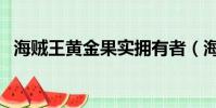 海賊王黃金果實擁有者(海賊王黃金果實)