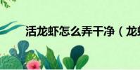 活龍蝦怎么弄干凈(龍蝦怎么清洗)