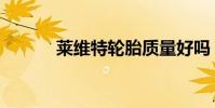 萊維特輪胎質量好嗎(萊維特)