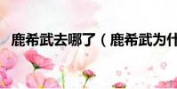 鹿希武去哪了(鹿希武為什么到國外去了)