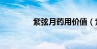 紫弦月藥用價值(紫弦月)