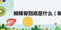 蝴蝶骨到底是什么(蝴蝶骨在哪)