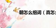 朝怎么組詞(真怎么組詞)