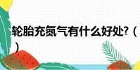 輪胎充氮氣有什么好處?(輪胎充氮氣的好處)