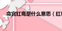 命宮紅鸞是什么意思(紅鸞是什么意思)