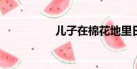 兒子在棉花地里日了我