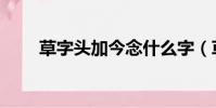 草字頭加今念什么字(草字頭加今)