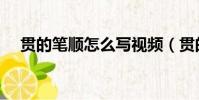 貫的筆順怎么寫視頻(貫的筆順怎么寫)