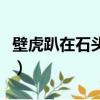 壁虎趴在石頭上看恐龍打一成語（龍打一成語）