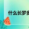 什么長夢多是什么生肖（什么長夢多）