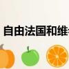 自由法國和維希法國有什么區別（自由法國）