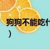 狗狗不能吃什么東西和食物（狗狗不能吃什么）