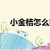小金桔怎么熬制可以止咳化痰（小金桔）