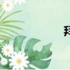 拜月式瑜伽（拜月）