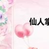 仙人掌的拼音（先人的拼音）