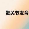 髖關節發育不良怎么治療最好（髖關節）