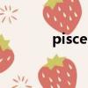 pisces是什么品牌（pisces）