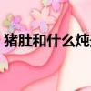 豬肚和什么燉最好（豬肚和什么燉最有營養）