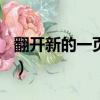 翻開新的一頁作文500字初一（翻開新的一頁）