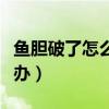 魚膽破了怎么辦使魚肉不苦呢（魚膽破了怎么辦）