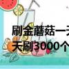 刷金蘑菇一天刷3000個多少錢（刷金蘑菇一天刷3000個）