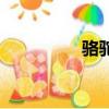 駱駝賦朗誦稿（駱駝賦）