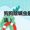 狗狗除螨蟲最有效方法（狗狗除螨蟲的簡單方法）