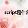 script是什么意思啊（script是什么意思）