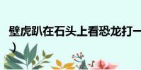 壁虎趴在石頭上看恐龍打一成語(龍打一成語)