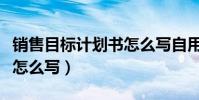 銷售目標計劃書怎么寫自用(銷售目標計劃書怎么寫)