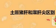 土匪豬肝和溜肝尖區別(土匪豬肝)