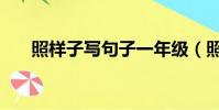照樣子寫句子一年級(照樣子寫句子)
