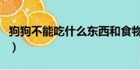 狗狗不能吃什么東西和食物(狗狗不能吃什么)