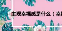 主觀幸福感是什么(幸福感是什么)