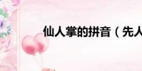 仙人掌的拼音(先人的拼音)