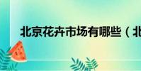 北京花卉市場有哪些(北京花卉市場)