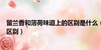 留蘭香和薄荷味道上的區別是什么(留蘭香和薄荷味道上的區別)