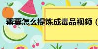 罌粟怎么提煉成毒品視頻(罌粟怎么提煉)