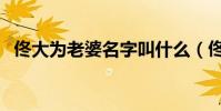 佟大為老婆名字叫什么(佟大為老婆名字)