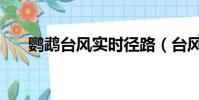 鸚鵡臺風實時徑路(臺風鸚鵡多少級)
