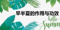 旱半夏的作用與功效(旱半夏)