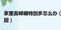 家里面蟑螂特別多怎么辦(家里蟑螂多是啥原因)