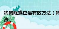 狗狗除螨蟲最有效方法(狗狗除螨蟲的簡單方法)
