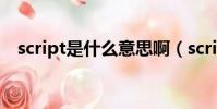 script是什么意思啊(script是什么意思)