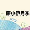 藤小伊月季一年開花幾次（藤小伊月季）