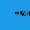 中島沙樹 萌娘百科（中島沙樹）
