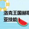 洛克王國赫斯提亞技能配招（洛克王國赫斯提亞技能）